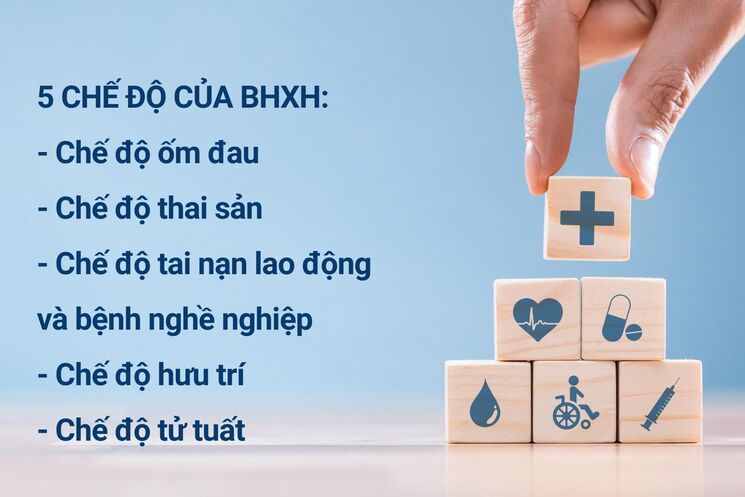 Luật Bảo hiểm xã hội: Quyền lợi khi người lao động tham gia là gì?