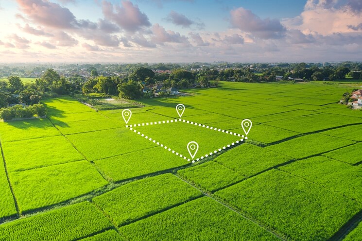 Diện tích tối thiểu tách thửa đất nông nghiệp năm 2025 là bao nhiêu?