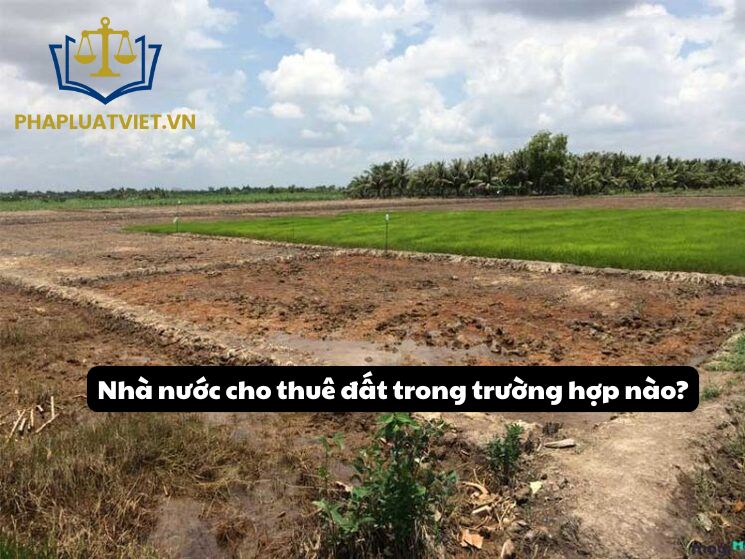 Cho thuê đất là gì? Nhà nước cho thuê đất trong trường hợp nào?