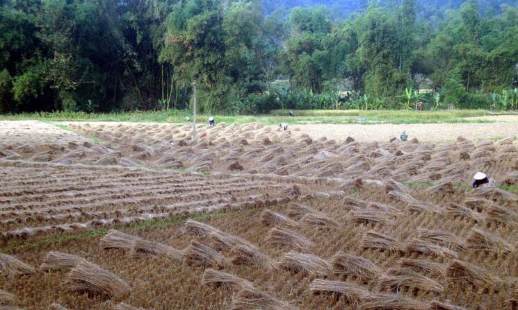 Có bắt buộc đóng thêm tiền khi gia hạn thời gian sử dụng đất không?