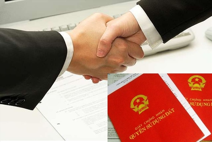 Xử lý khi phát hiện đất đứng tên người khác theo quy định