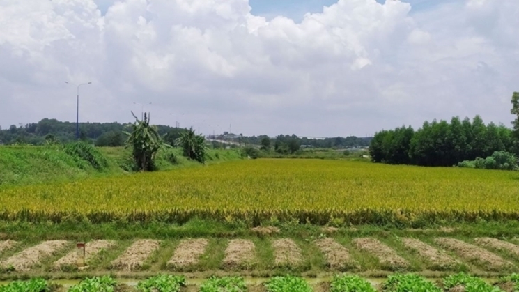 dong-them-tien-khi-gia-han-thoi-gian-su-dung-dat