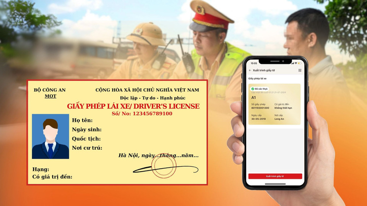 Cách tra cứu Giấy phép lái xe bị tạm giữ trên VNeID